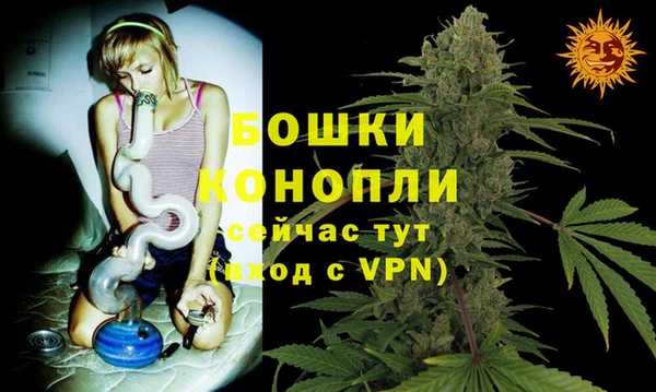 винт Алексин