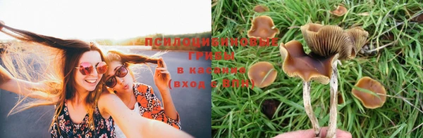 МДПВ Воткинск