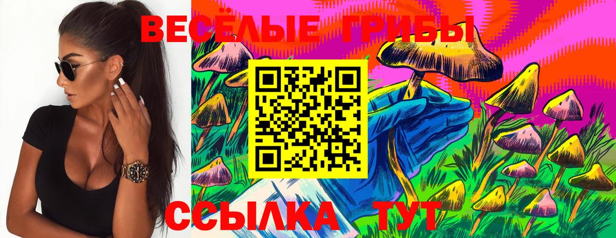 Псилоцибиновые грибы Cubensis  Вход с VPN  Карталы 