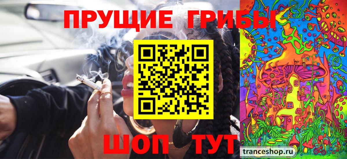 Галлюциногенные грибы Psilocybine cubensis Карталы